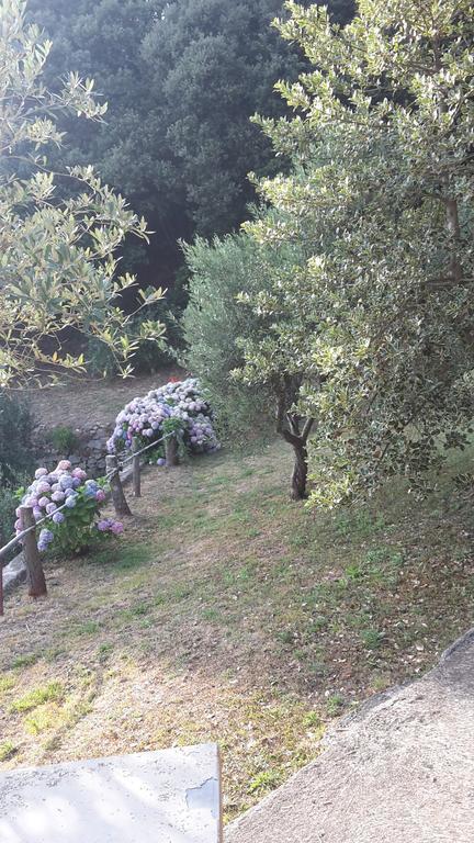 Arvasia Βερνάτσα Εξωτερικό φωτογραφία