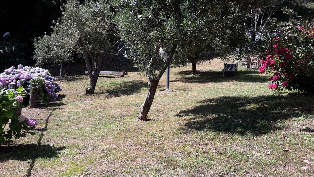 Arvasia Βερνάτσα Εξωτερικό φωτογραφία